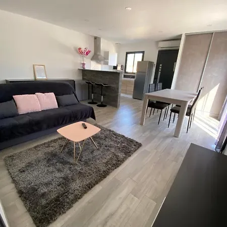 Maison Recente De 50 M2 Pour 4 Personnes * 维琪奥港